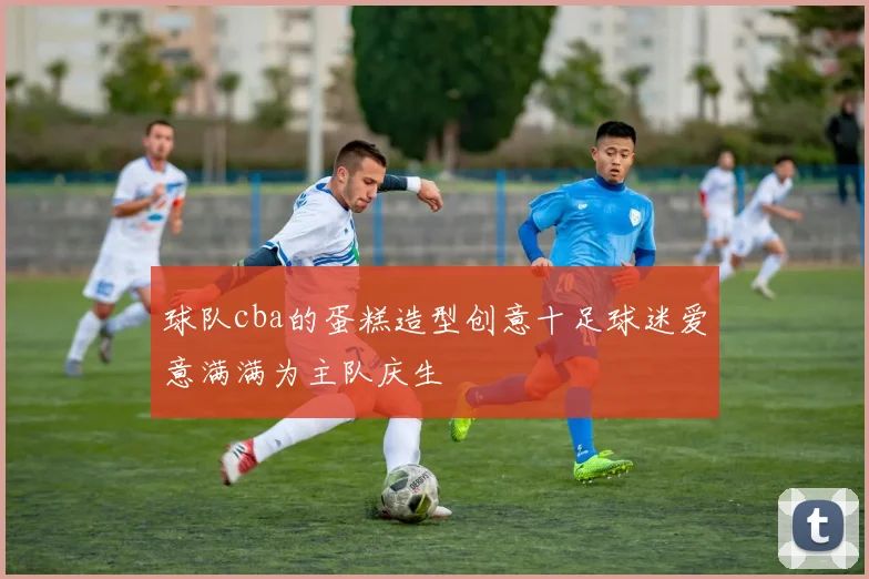 球队cba的蛋糕造型创意十足球迷爱意满满为主队庆生