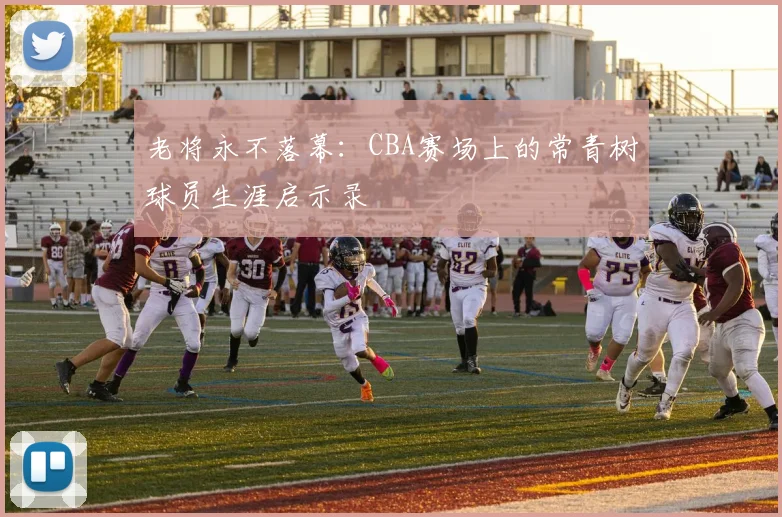 老将永不落幕：CBA赛场上的常青树球员生涯启示录