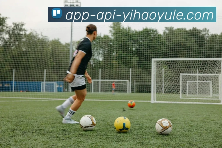 壹号娱乐APP平台生态图